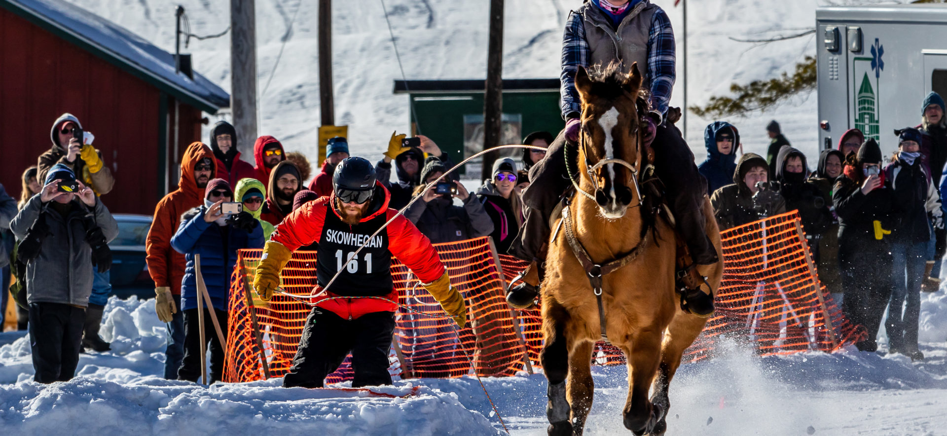 Skijor Skowhegan Somerset SnowFest